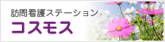 訪問看護ステーション コスモス