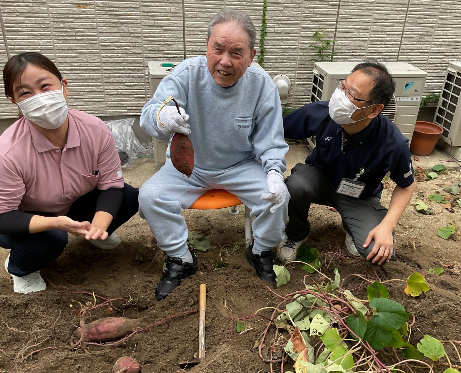 入居者と職員がさつまいも収穫を楽しむ園芸活動の風景